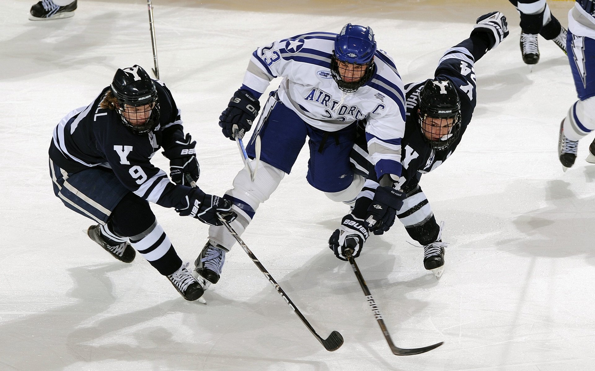 乐鱼官网入口-男子项目均衡发展接力表现突出